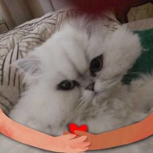 Meet your Posher, Maureen